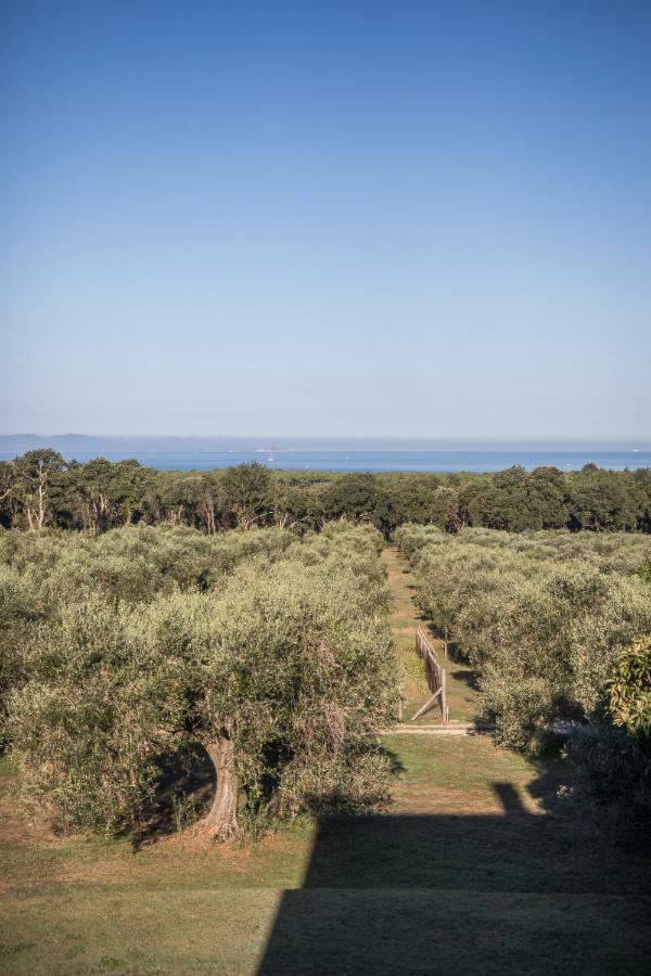 Podere San Niccola Пунта Ала Екстериор снимка